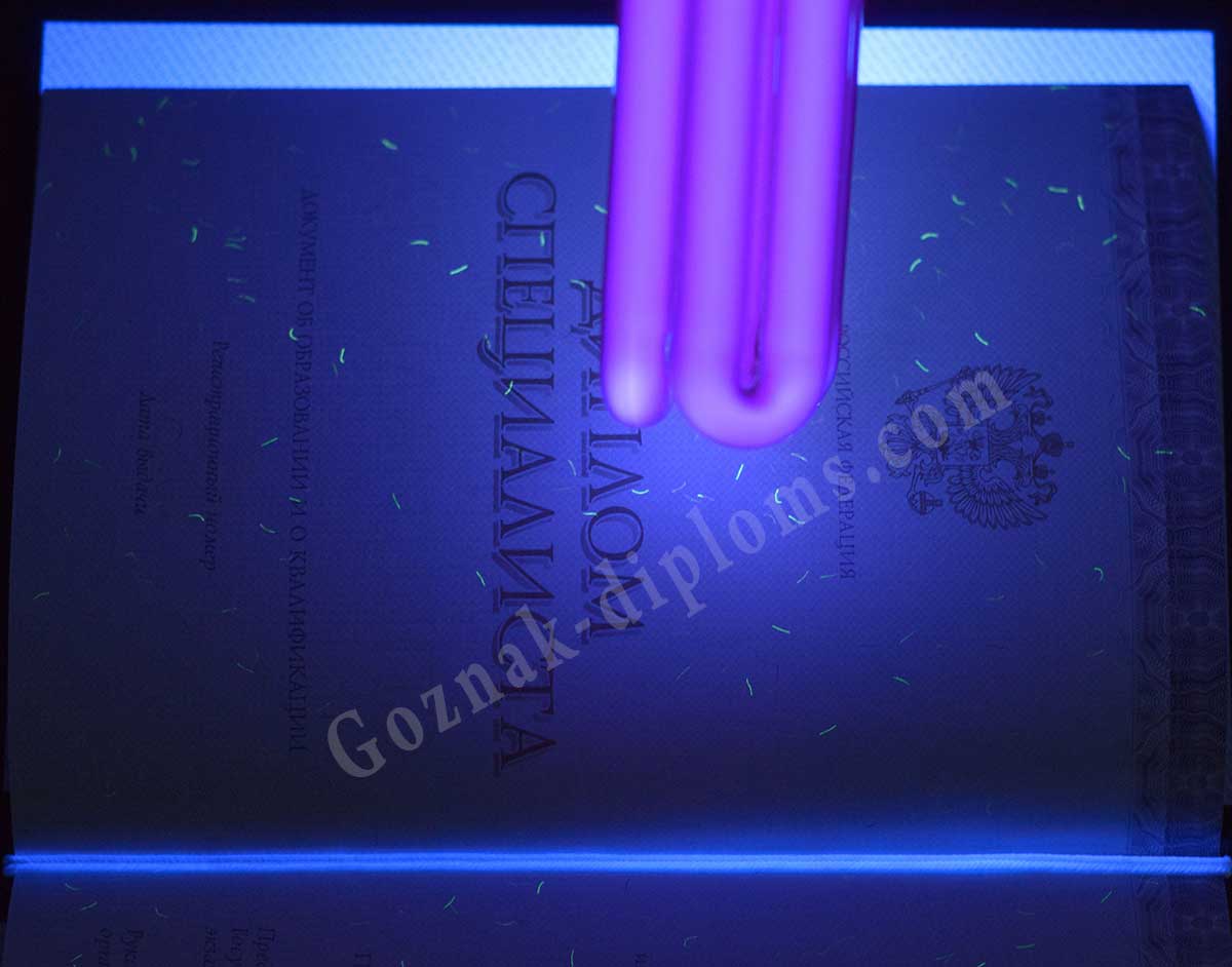 Диплом специалиста 2014-2026